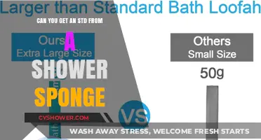 Can Shower Sponges Transmit STDs? Separating Fact from Fiction