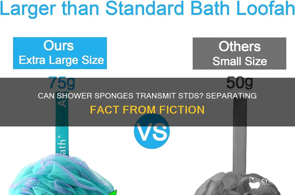 can you get an std from a shower sponge