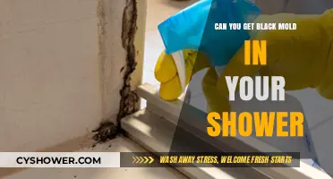 Preventing Black Mold Growth in Your Shower: Causes and Solutions