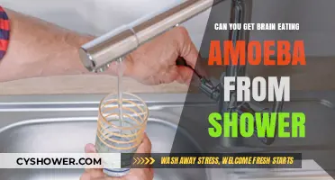 Shower Safety: Debunking Brain-Eating Amoeba Myths and Facts