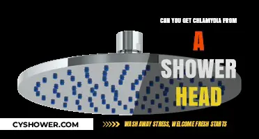 Can Shower Heads Transmit Chlamydia? Separating Fact from Fiction