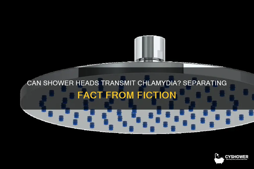 can you get chlamydia from a shower head