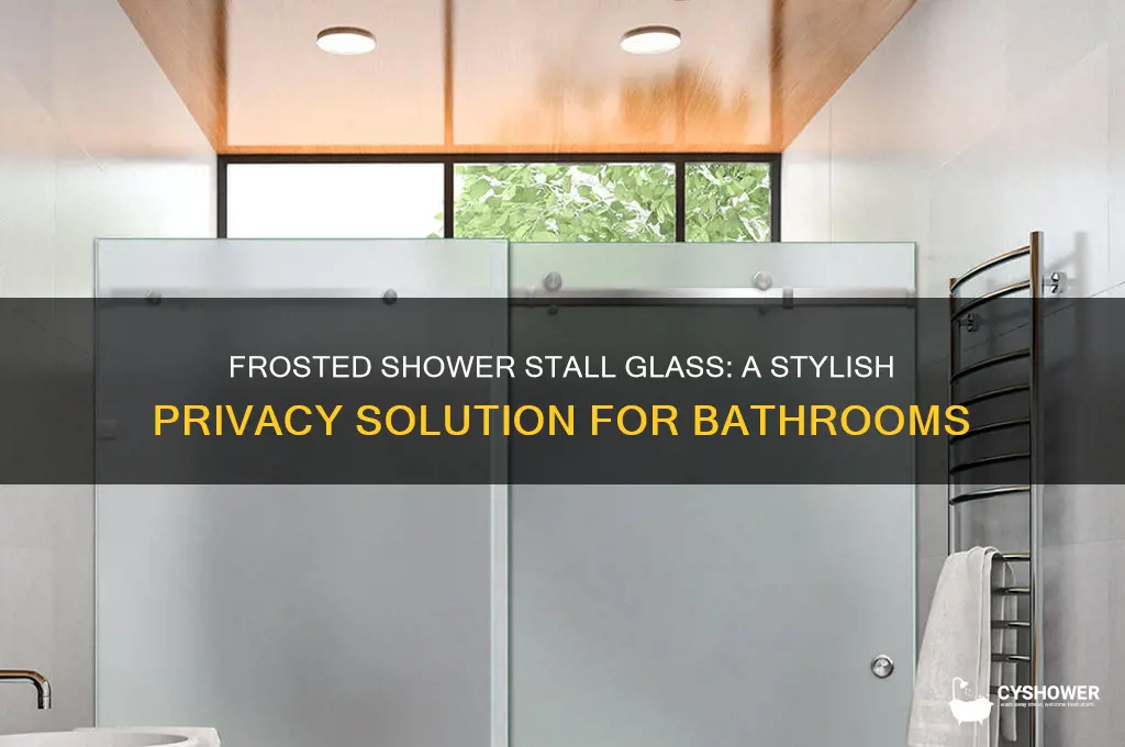 can you get frosted shower stall glass
