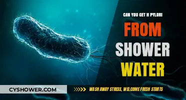 Can Shower Water Transmit H. Pylori? Uncovering the Risks