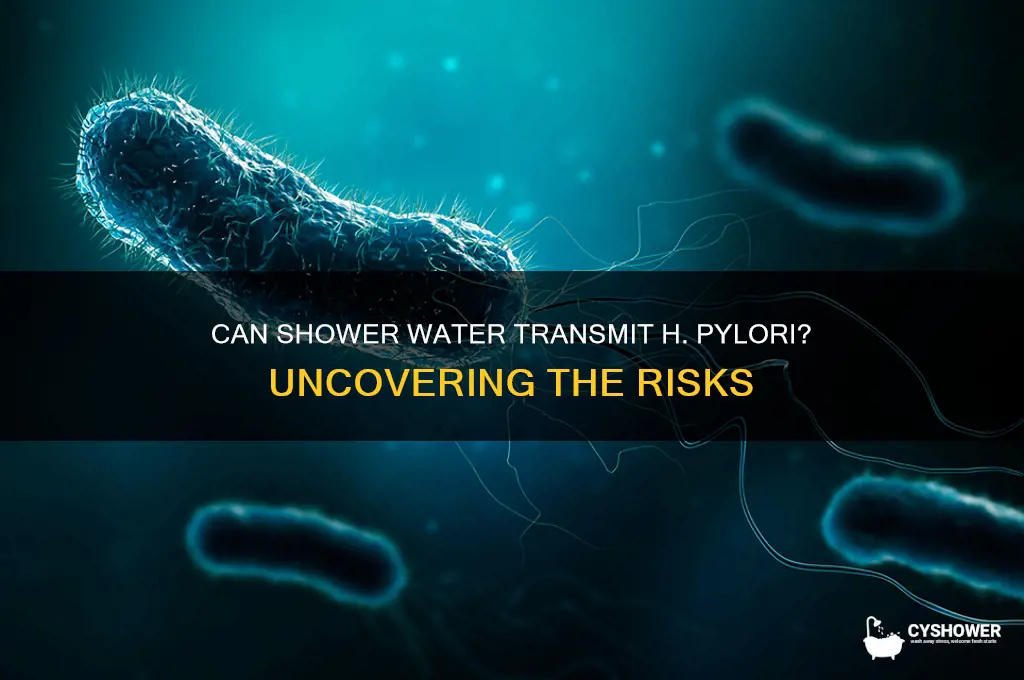 can you get h pylori from shower water