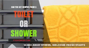 Can You Catch Herpes from Public Toilets or Showers?