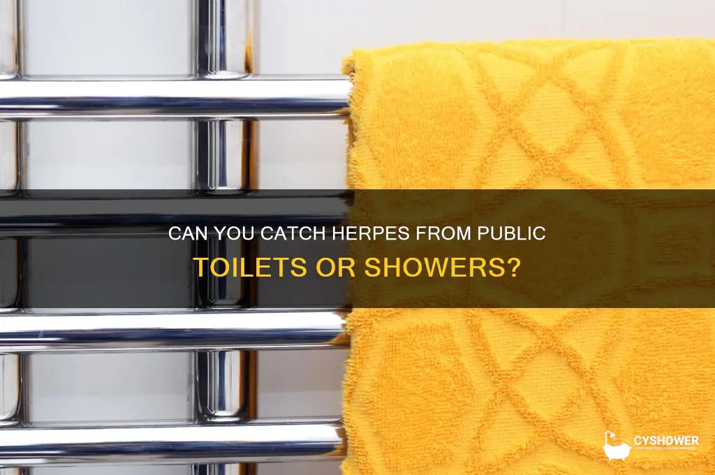 can you get herpies from a toilet or shower