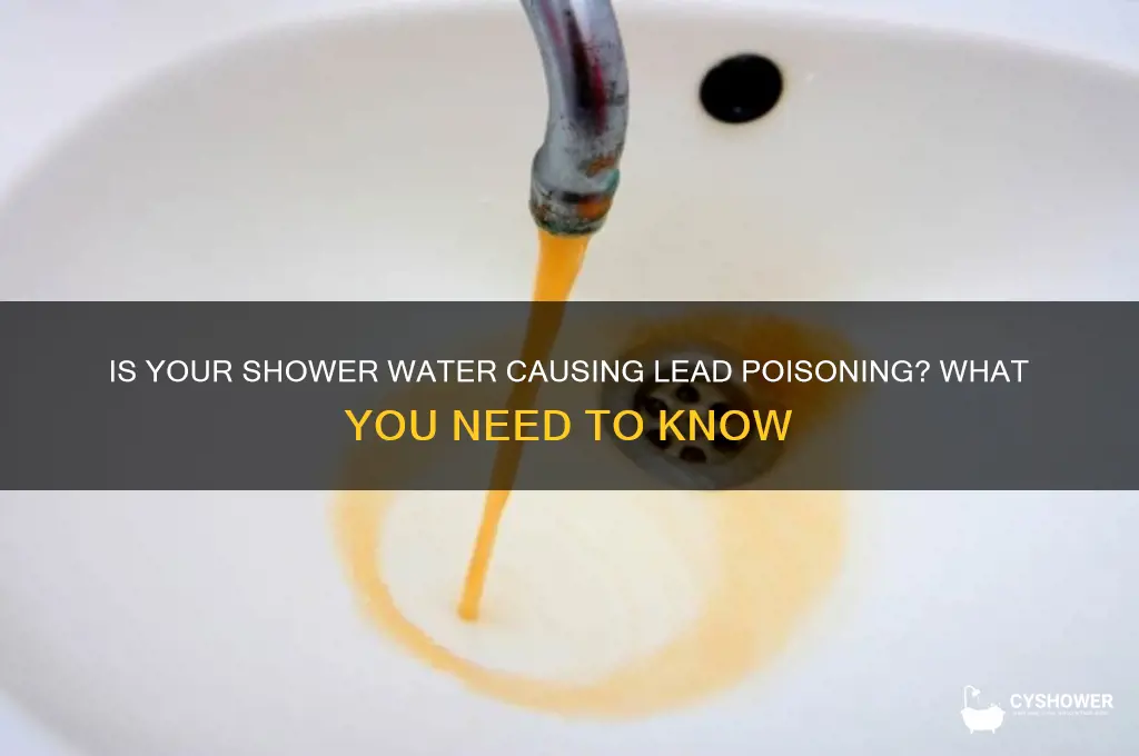 can you get lead poisoning from shower water