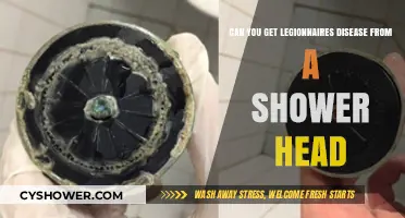 Shower Head Risks: Can Legionnaires' Disease Lurk in Your Bathroom?