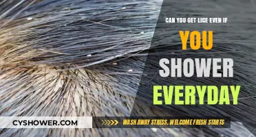 Daily Showers and Lice: Can Cleanliness Prevent Infestation?
