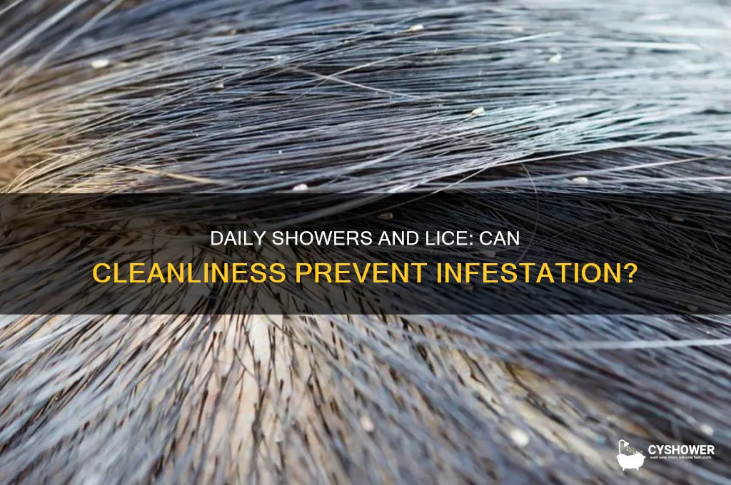 can you get lice even if you shower everyday