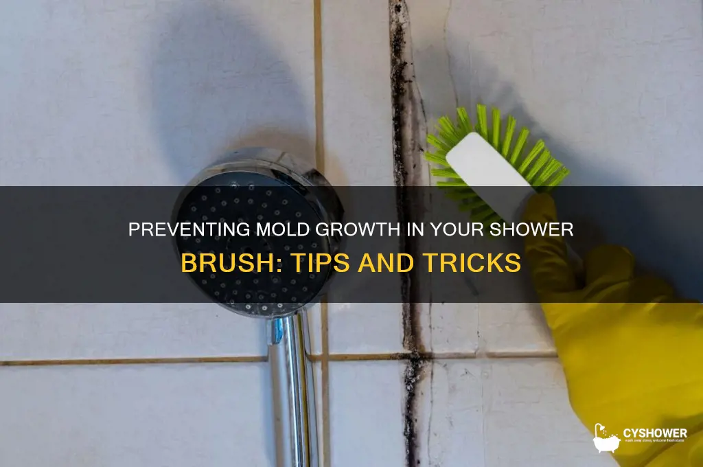 can you get mold in your shower brush
