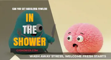 Shower Safety: Can Naegleria Fowleri Infect You While Bathing?