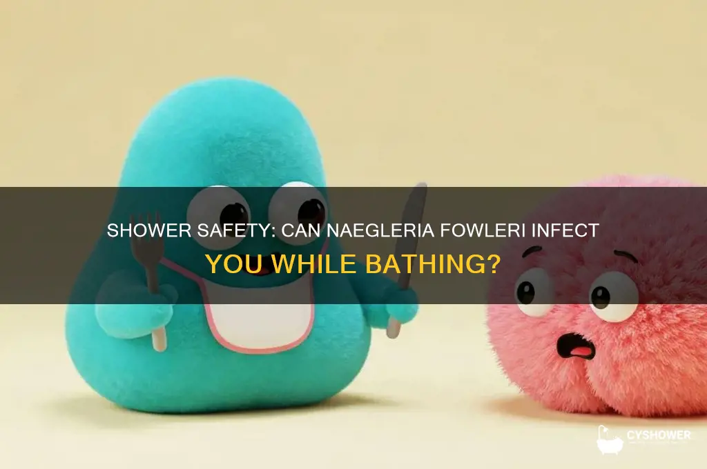 can you get naegleria fowleri in the shower
