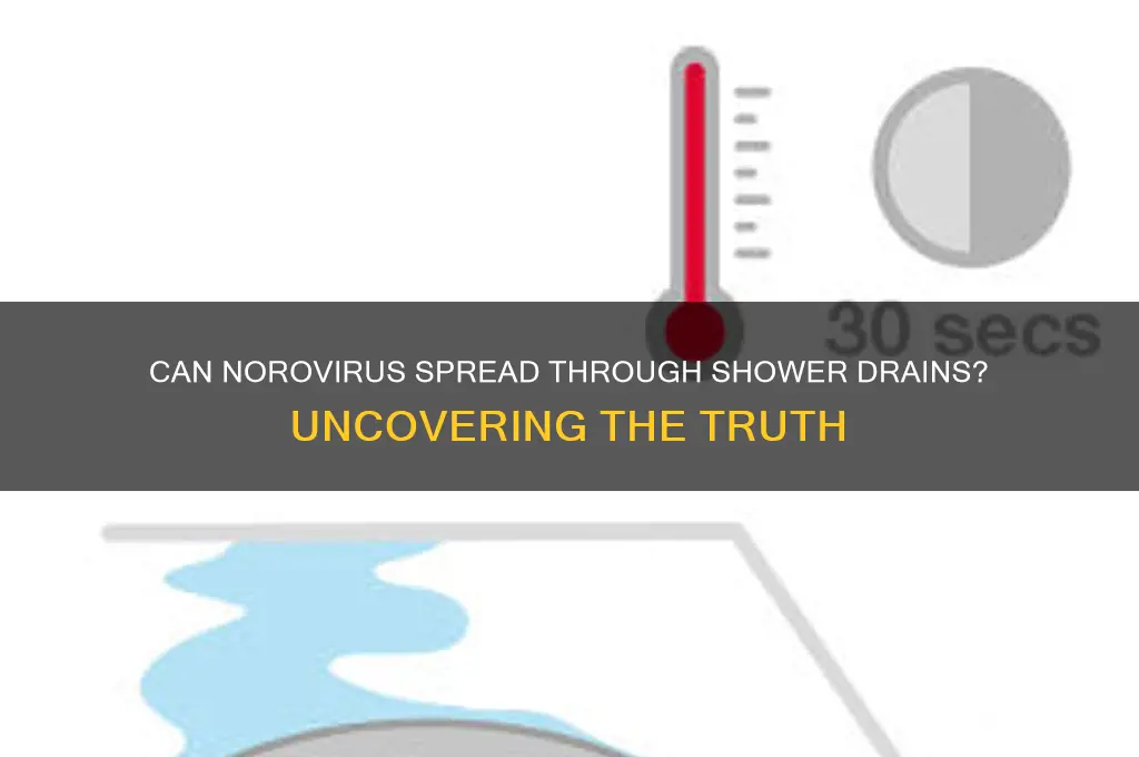 can you get norovirus from shower drain
