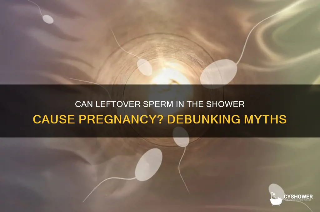 can you get pregnant from leftover sperm in the shower