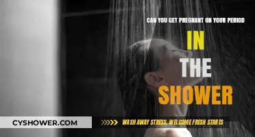 Pregnancy on Period in Shower: Myth or Reality?