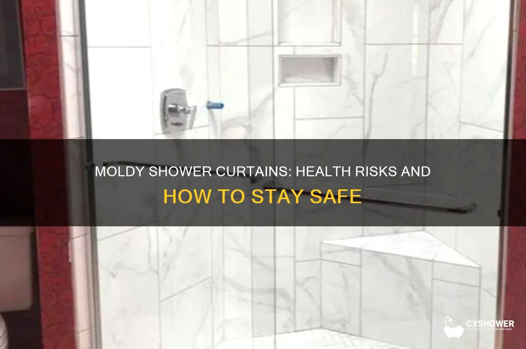 can you get sick from a moldy shower curtain