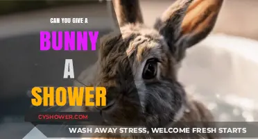 Can Bunnies Take Showers? Safe Bathing Tips for Your Rabbit