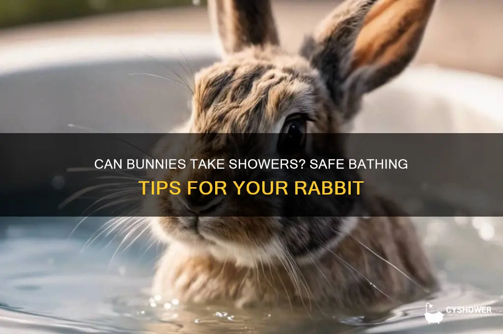 can you give a bunny a shower