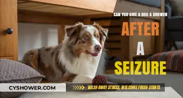 Post-Seizure Dog Care: Is Showering Safe for Your Pet?