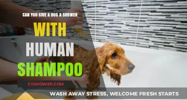 Human Shampoo for Dogs: Safe or Harmful? Expert Advice