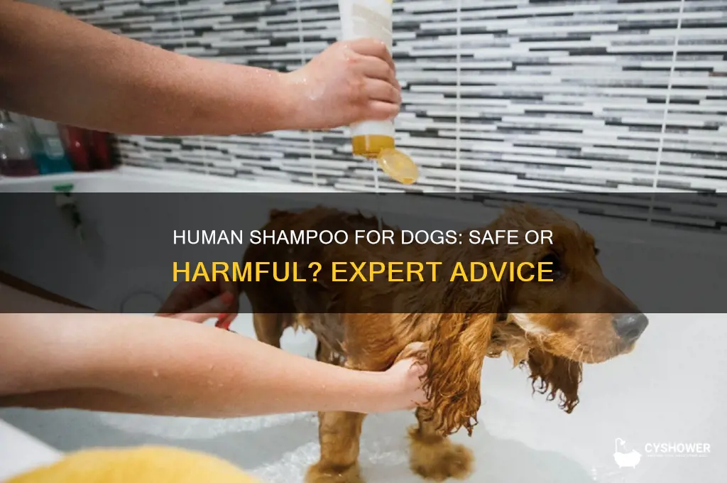 can you give a dog a shower with human shampoo