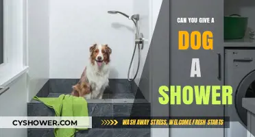 Can Dogs Take Showers? Tips for Bathing Your Pup Safely
