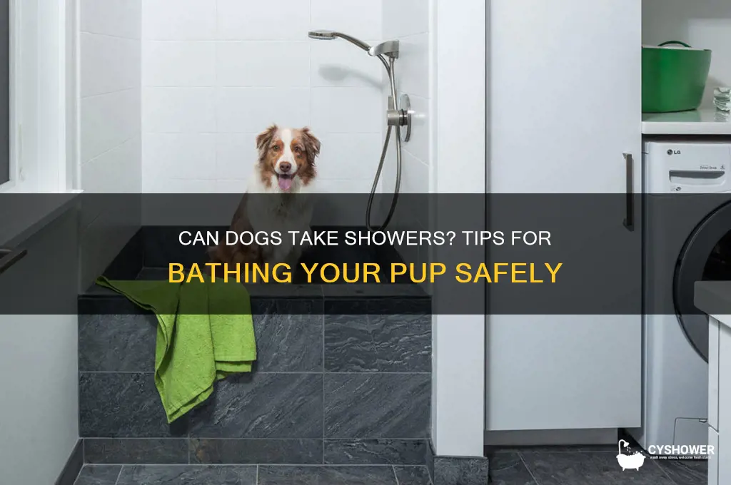 can you give a dog a shower