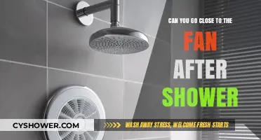 Post-Shower Fan Safety: Risks of Standing Close After Bathing