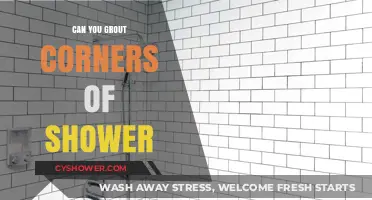 Mastering Shower Grouting: Can You Perfectly Seal Shower Corners?