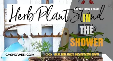 Shower Gardening: Can You Successfully Grow Plants in Your Bathroom?