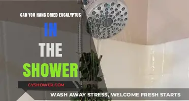 Hanging Dried Eucalyptus in Your Shower: Benefits and How-To Guide