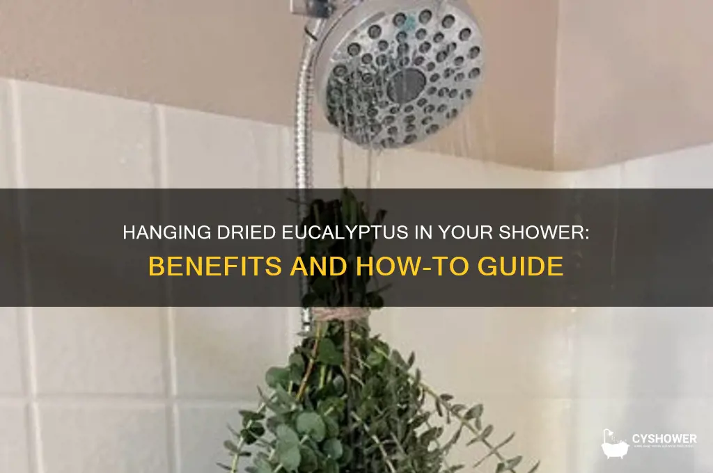 can you hang dried eucalyptus in the shower