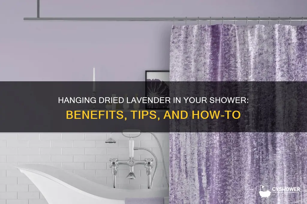 can you hang dried lavender in the shower