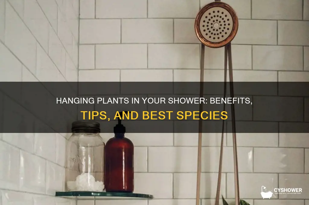 can you hang plants in shower