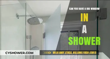 Big Windows in Showers: Design Tips and Waterproofing Solutions