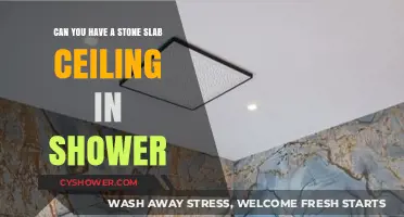 Stone Slab Ceiling in Shower: Innovative Design or Practical Challenge?