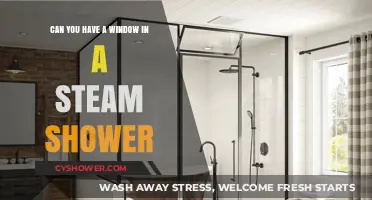 Steam Shower Windows: Feasible, Safe, or Foggy Mistake?