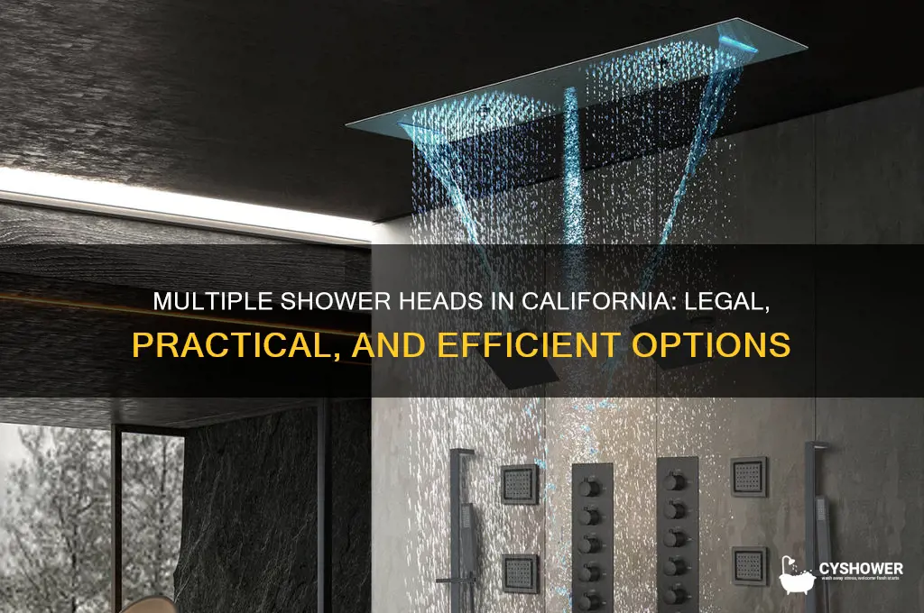 can you have multiple shower heads in one shower california