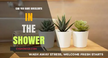 Shower Succulents: Can These Plants Thrive in Your Bathroom?
