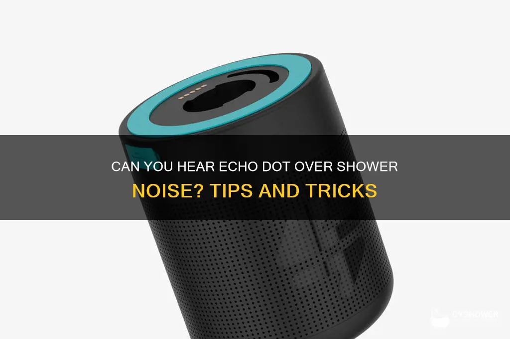 can you hear an echo dot over a shower