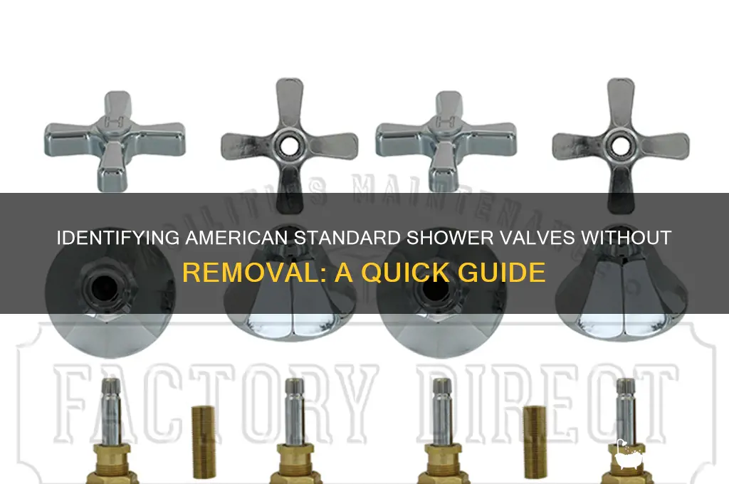 can you identify american standard shower valve without taking out