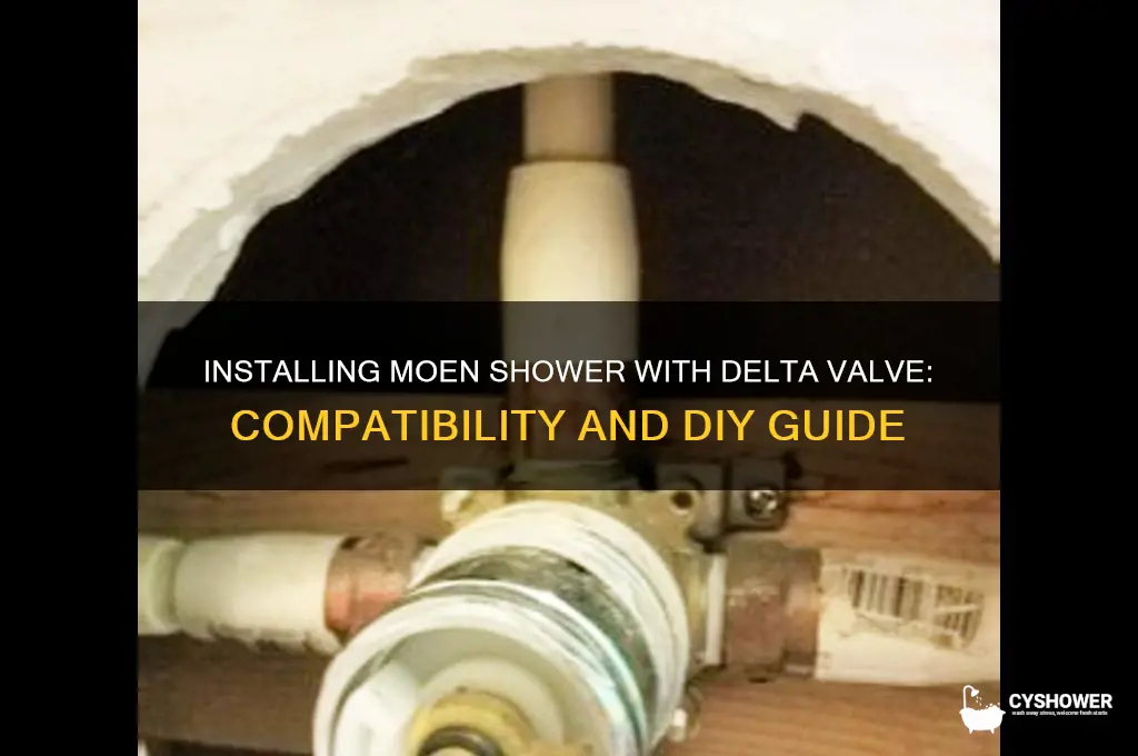 can you install moen shower with delta valve