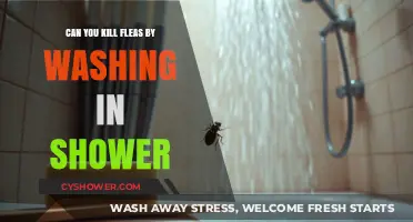 Showering to Kill Fleas: Does It Work? Expert Tips Revealed