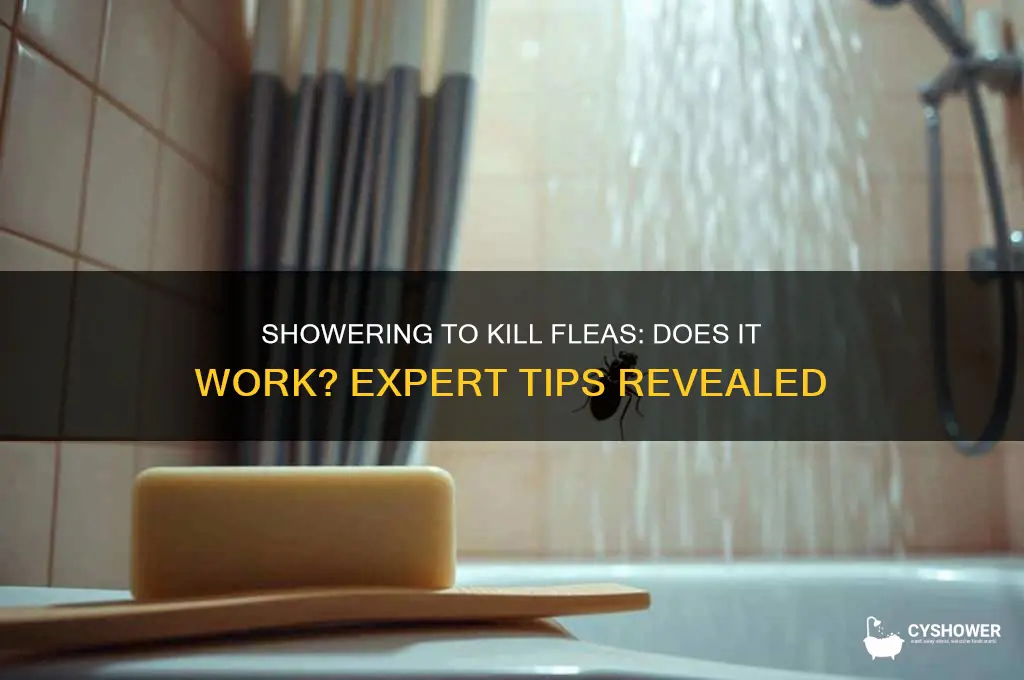 can you kill fleas by washing in shower