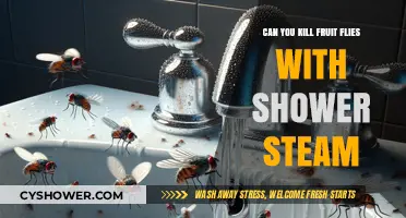 Shower Steam vs. Fruit Flies: Effective Home Remedy or Myth?