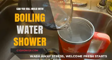 Boiling Water Shower: Effective Mold Killer or Temporary Fix?
