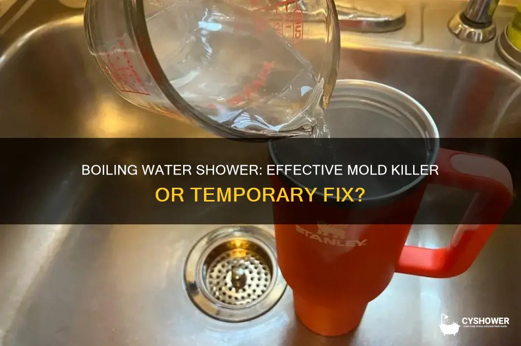 can you kill mold with boiling water shower