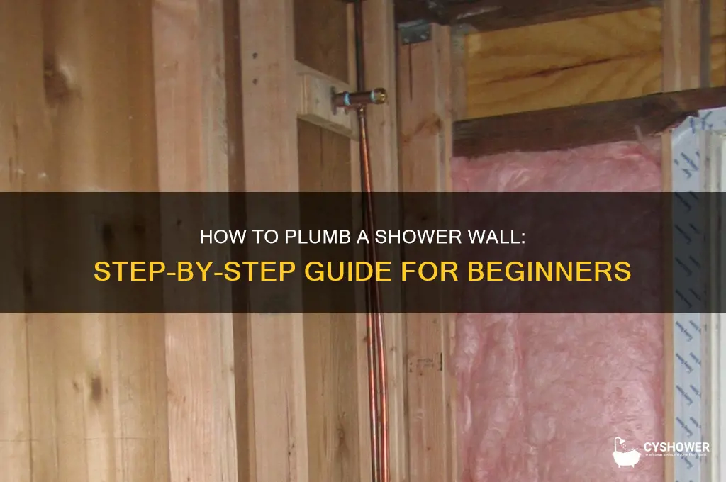 can you make plumb paer of wall for shower